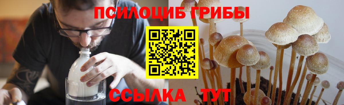 Псилоцибиновые грибы мухоморы  Галлюциногенные грибы MAGIC MUSHROOMS  где купить наркотик  Орёл  Вход с VPN 